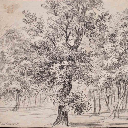 Josef danhauser forest - josef,