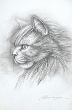 Porträt einer Katze