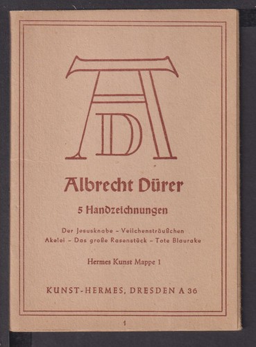 Postcard albrecht dürer art - dürer,